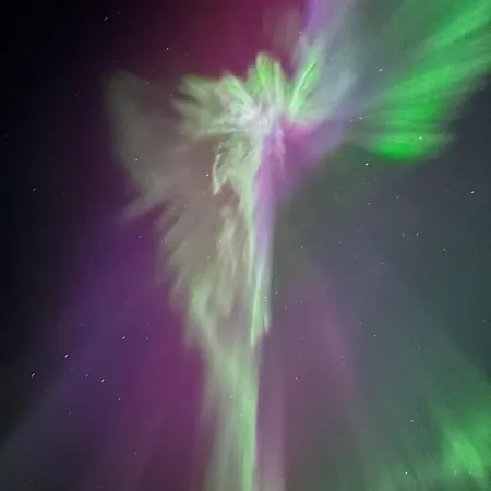 Hus Med Havutsikt I Vakre Vesterålen - Naboen Til Lofoten *