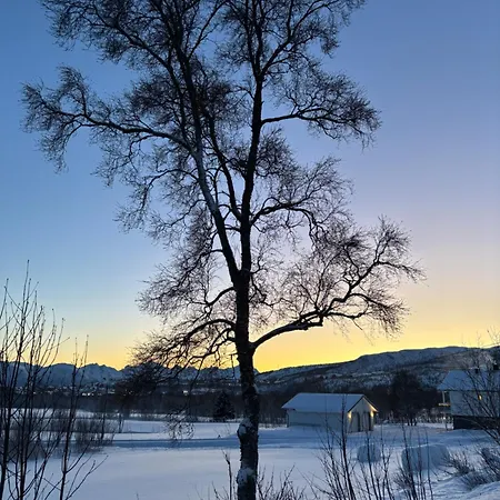 Hus Med Havutsikt I Vakre Vesterålen - Naboen Til Lofoten Feriehus Sortland